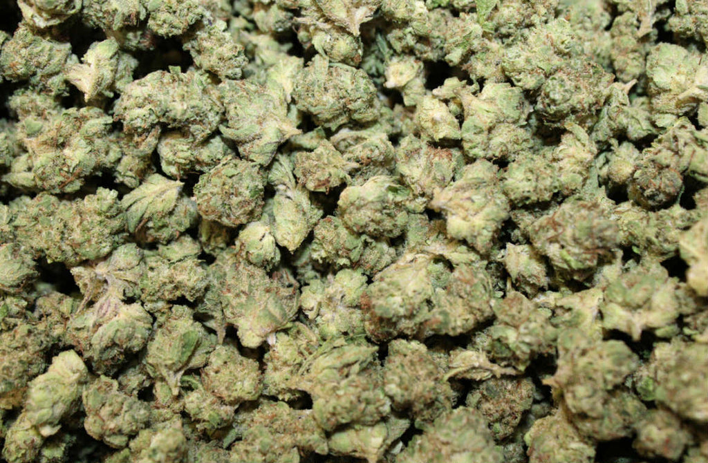 GR3
