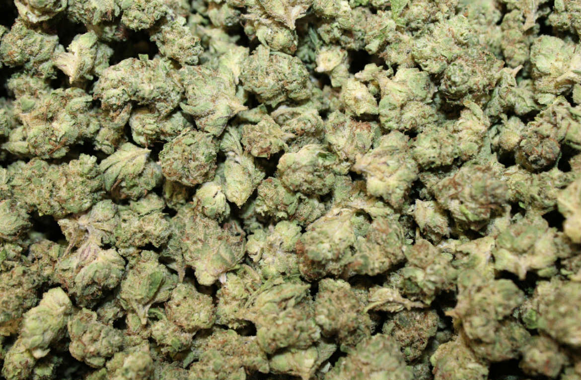 GR3