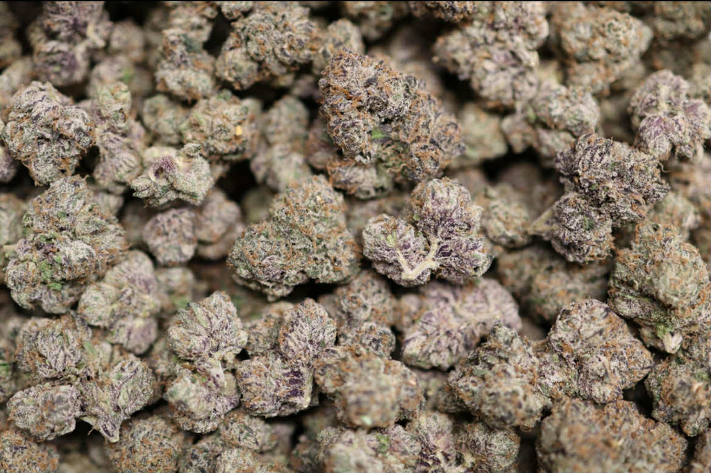 Holy Candy