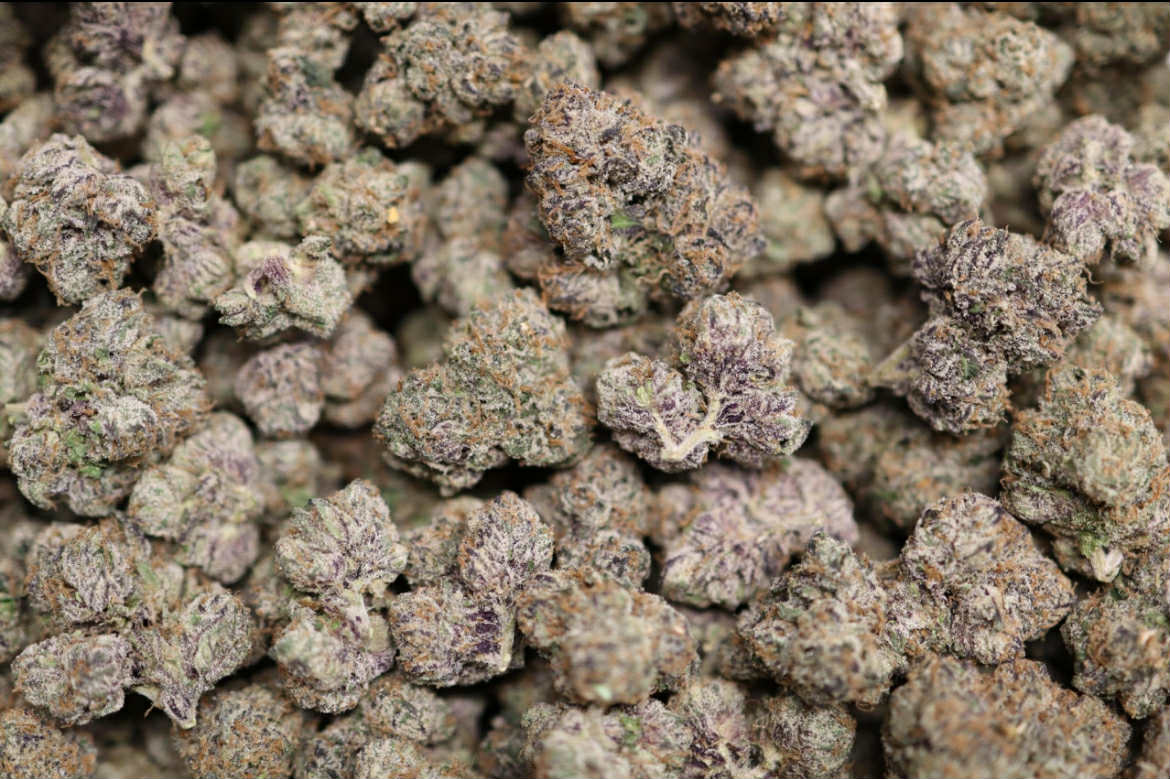 Holy Candy